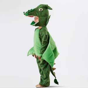 Pottery Barn Kids Toddler Green Dragon Halloween Costume